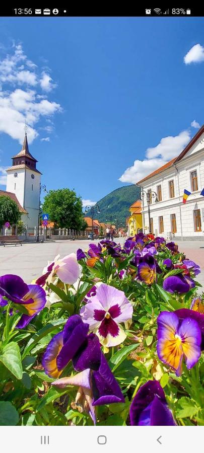 Vila Georgeta Zărneşti Exterior foto